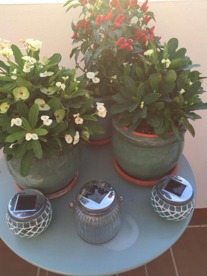 B&B Casa Louisa, Torre Del Mar- Valleniza 贝莱斯 外观 照片