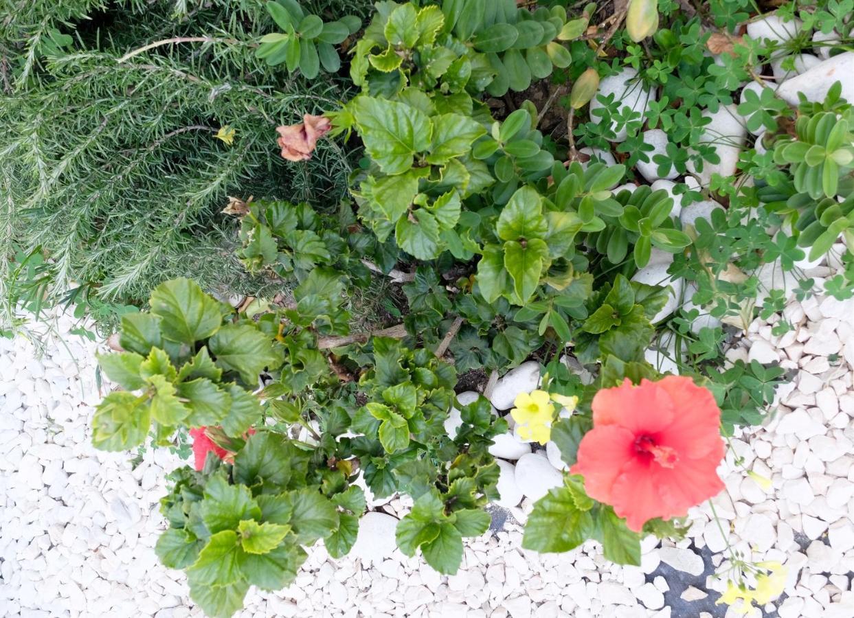 B&B Casa Louisa, Torre Del Mar- Valleniza 贝莱斯 外观 照片