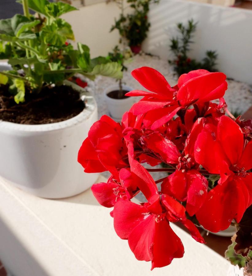 B&B Casa Louisa, Torre Del Mar- Valleniza 贝莱斯 外观 照片